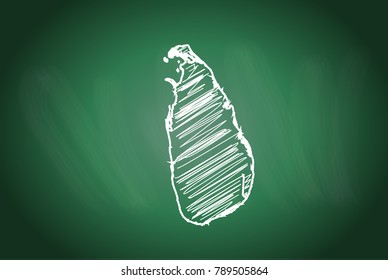 Drawing map on blackboard of sri Lanka. drawn on chalkboard with scribbled map of sri Lanka. can be use for education. vector illustration.