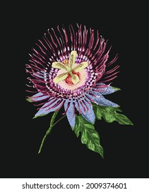 Zeichenblume Maracuja, art.grafik, Vektorgrafik
