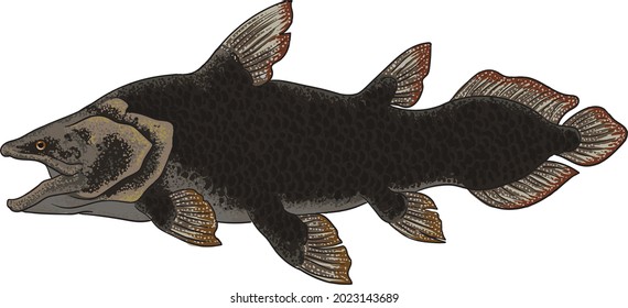 drawing mawsonia full body, art.illustration, vector