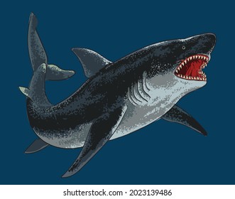 drawing megalodon full body, art.illustration, vector