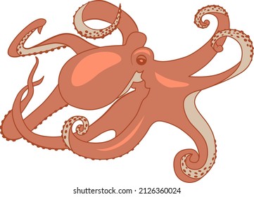 drawing of monochrome funny octopus
