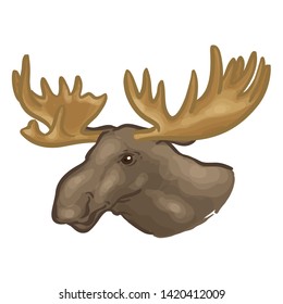 Drawing Of A Moose head. Animal Vector Illustration