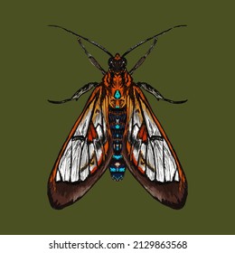 drawing mormon butterfly natural style blue pink