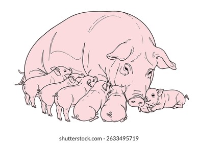 O desenho da porca-mãe está alimentando o leite do vetor do bebê.