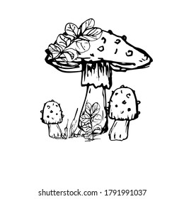 Drawing with a mushroom. Handmade graphics. Edible mushrooms and toadstools. Healthy food illustration. Autumn forest coloring pages for children and adults. for recipe, menu, label, coloring