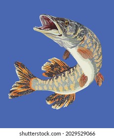 drawing muskellungefish, river monster fish, art.illustration, vector