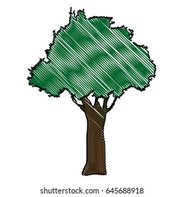 drawing natural tree foliage image