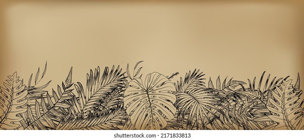 drawing nature leaf rainforest on vintage background, antique texture retro style,vector illustration