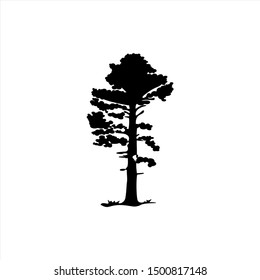 drawing of nature tree vector illustration