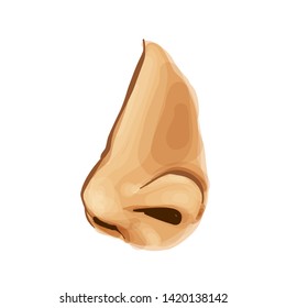 Drawing Of A Nose Vector Human Body Part Illustration