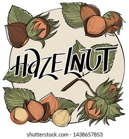 Drawing of nuts and hazelnuts. Vector illustrationson the nutrition theme. 