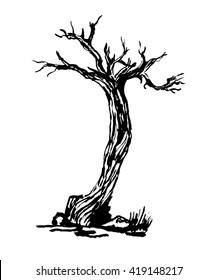 drawing old dry gnarled tree graphic ink isolate sketch vector illustration