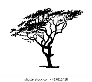 drawing old sprawling foliar dry southern tree graphic vector illustration
