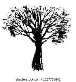 drawing old spreading tree, sketch, hand drawn ink vector illustration