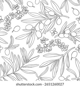 Drawing olive fruit branch seamless pattern vector. Hand painted floral illustration, tree branches, flowers bloom, leaves, fruits background. Drawings food. Edible foliage. For menu, wrapping card