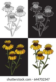 Drawing on black and white background bouquet of three yellow flowers
