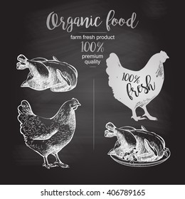 Drawing on the blackboard. Roasted Chicken. Design for farming industry, original packaging and other types of bio product business. Vector illustration in vintage style