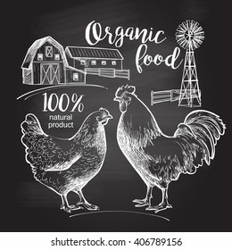 Drawing on the blackboard. Rooster, hen, farm, barn.  Design for farming industry, original packaging and other types of bio product business. Vector illustration in vintage style