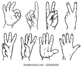 Drawing on paper. Image of hands with different gestures.