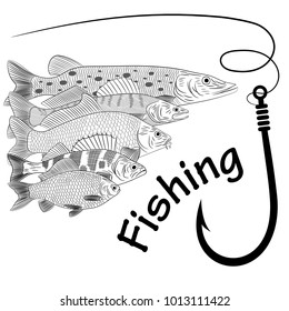 Drawing on the theme of river fish. Pike, pikeperch, carp, crucian carp, perch, fishing line and fish hook. Sketch, vector illustration.