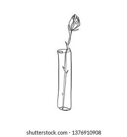 drawing one continuous line of a vase with a flower isolated on white background. Set of hand drawn doodle sketches 