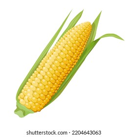 Drawing of one ear of yellow corn with green leaves. Realistic design element and food and agriculture theme.