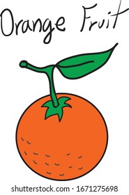 drawing orange fruit with leaf and green branch