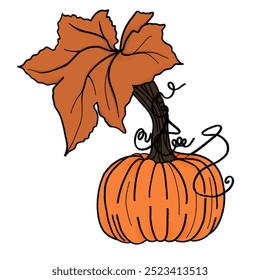 a drawing of orange pumpkin with autumn leaf, both are symbol of harvest time that generally eaten during the fall and early winter usually prepared for Thansgiving and Christmas