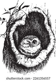 drawing of an owl in a large tree hollow