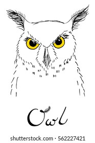 A drawing of owl's face with lettering
