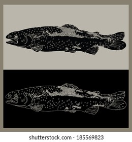 Drawing of pair black and white river fish -trout 