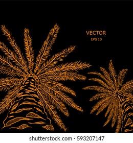 drawing palm. sketch, summer theme.. vector illustration