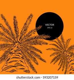 drawing palm. sketch, summer theme.. vector illustration