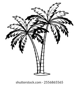 a drawing of palm trees with the word palm on it