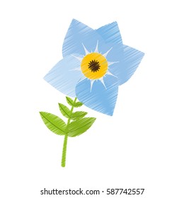 drawing pansy flower plant nature vector illustration eps 10