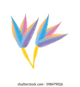 drawing  paradise flower