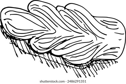Drawing of pastry products, desserts. Food menu design template. Hand drawn sketch vector illustration Brioche braid