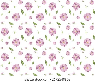 Patrón de dibujo de flor de magnolia con hoja sobre fondo blanco.
