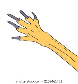 drawing of a paw of a kangaroo close-up, cartoon, on a white background