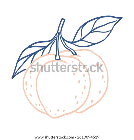 A drawing of a peach with a leaf on it. The peach is pink and the leaf is blue