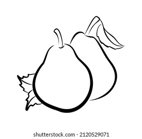 Drawing of pear with leaves