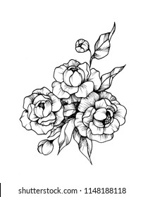 The drawing of Peony flowers can be used for decoration and sketch for tattoo