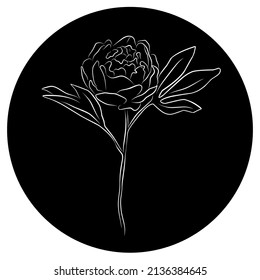 Zeichnung einer Pony mit einer weißen Linie auf schwarzem Hintergrund in abgerundeter Form, Logo, Symbol. Elegante Blumenlinie, Vektorgrafik.