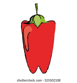 drawing pepper red vegetable food icon