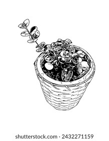 Dibujo de la maceta de plantas perfecta