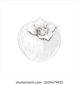 A drawing of a persimmon with a flower on top. The drawing is in black and white and has a simple, elegant style.