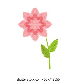 drawing petunia flower nature spring vector illustration eps 10