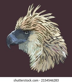 Drawing philipina eagle head, predator, art.illustration ,vector