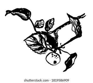 imagen de dibujo rama de manzano árbol con manzana, boceto, tinta, ilustración vintage vectorial digital dibujada a mano, buena para impresiones y logotipos