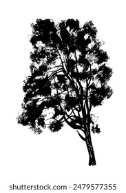 drawing picture of a beautiful spreading Siberian cedar tree, sketch, hand drawn digital vector illustration